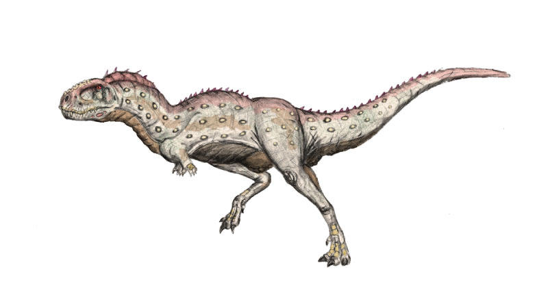 Resultado de imagen de pycnonemosaurus