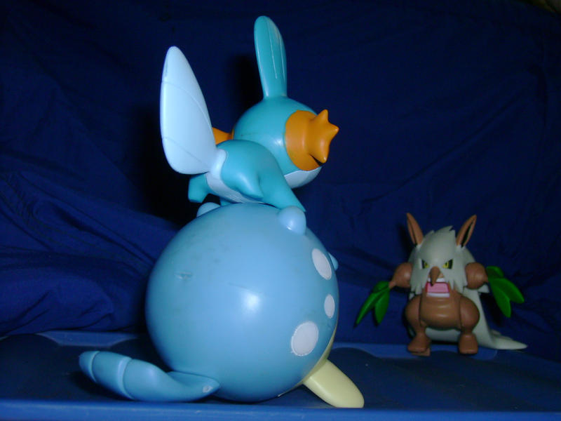 [Image: mudkip_and_spheal_vs_shiftry_by_nick_is_safferion.jpg]