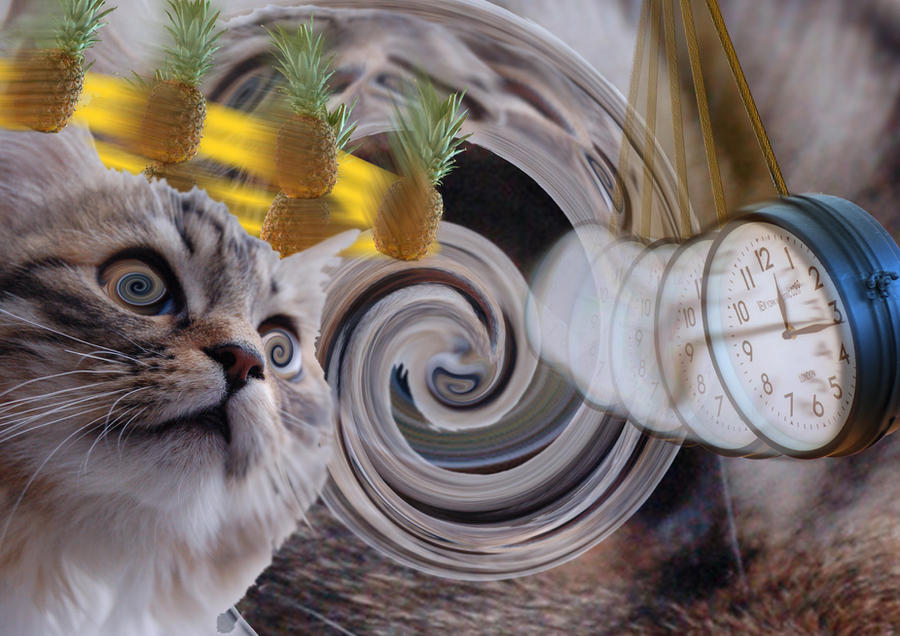 cat__clock_and_fruit_hypnotic_by_deftwise_zero-d3d6sw6.jpg