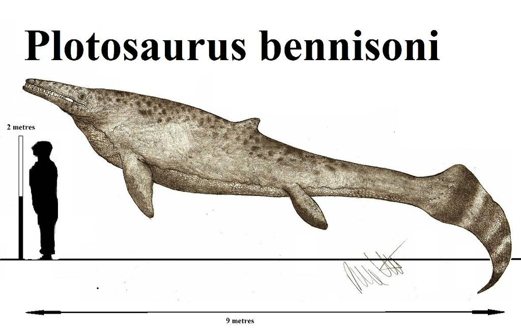 plotosaurus_bennisoni_by_teratophoneus-d