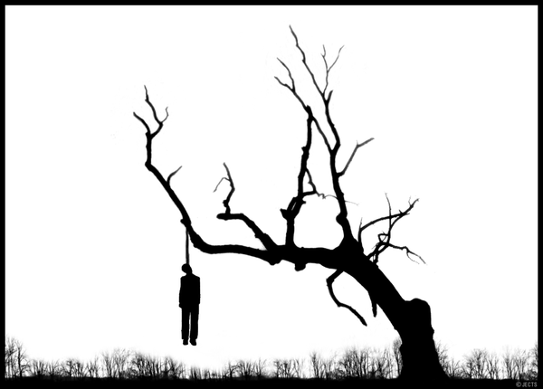 Image result for hanging tree