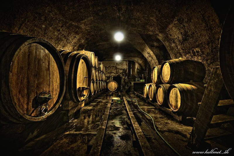 wenzel_wine_cellar_by_hellmet