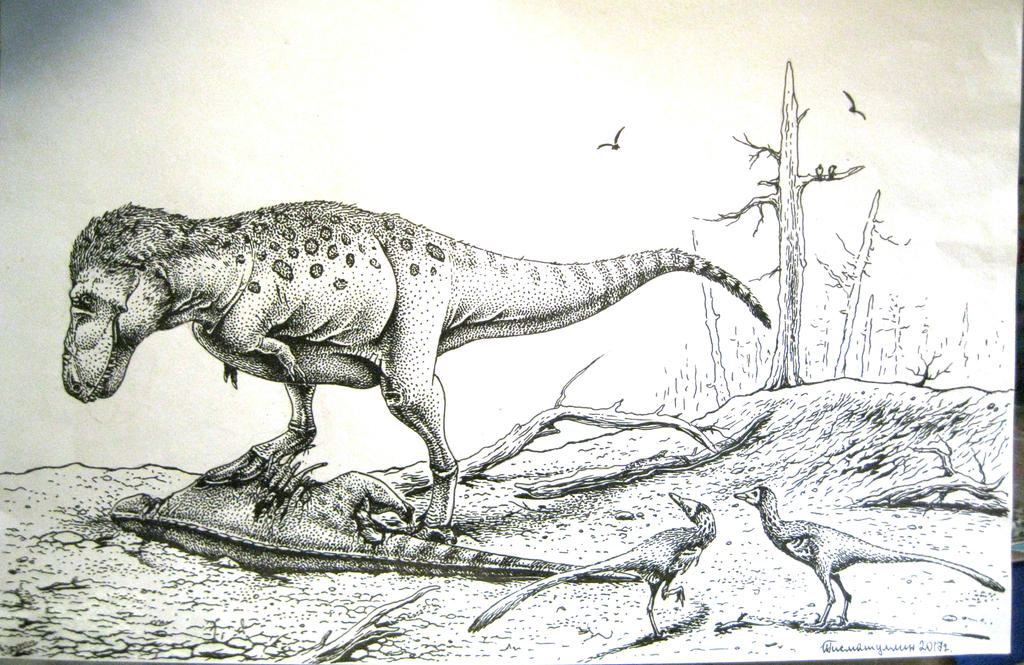 http://img06.deviantart.net/ca24/i/2017/156/4/b/tyrannosaurus_rex_and_pectinodon_by_xiphactinus-dbbmce0.jpg