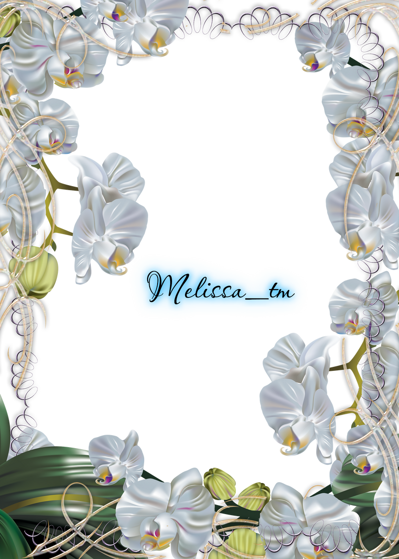 white orchids frame png by Melissa-tm on DeviantArt