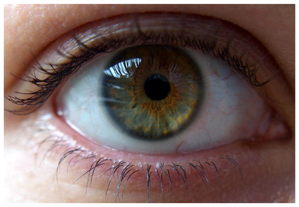 Green Human Eye. by bohemiangypsy on DeviantArt
