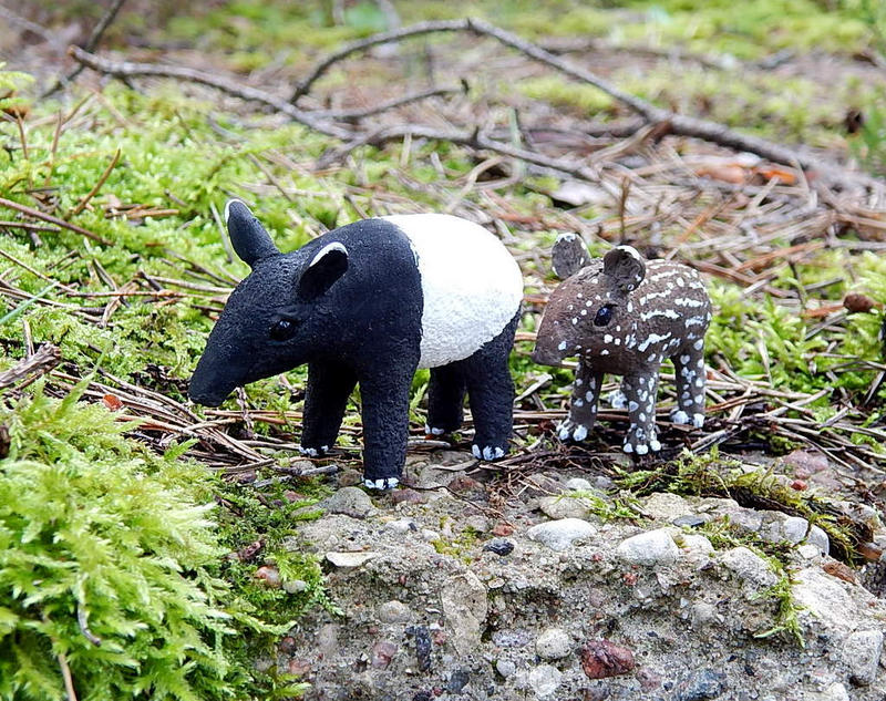Finished the malayan tapir, black rhinoceros and mountain goat, and hopefully i'll get this bactrian camel done. Malayan tapir with baby by koshka741 on DeviantArt