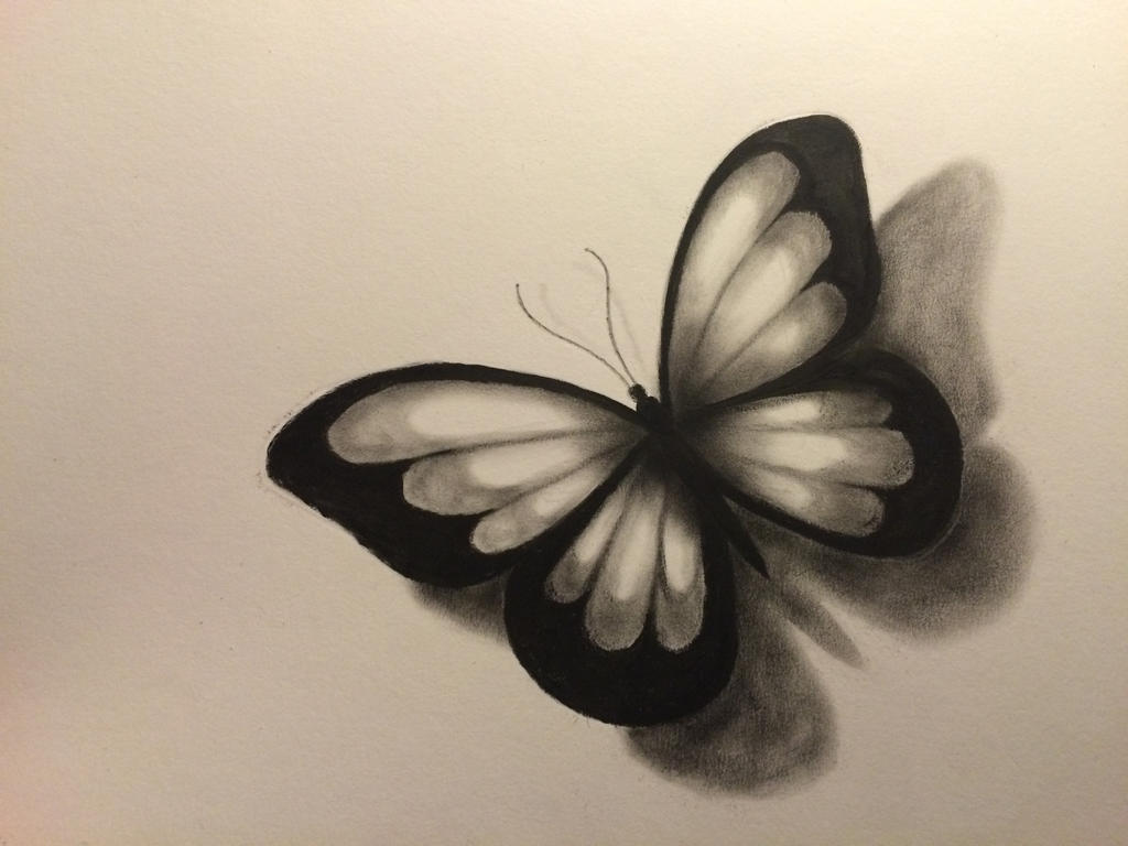 Butterfly close up by Drawlover on DeviantArt
